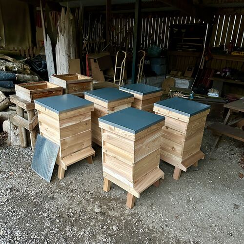 Gallery | East Anglia Apiaries | Raw honey | Local honey | Natural Honey