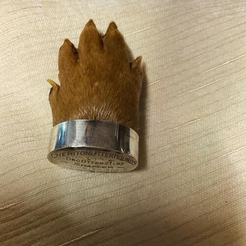 Otter Paw Brooch 