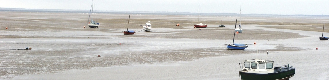 Wirral Alsatian Training Society