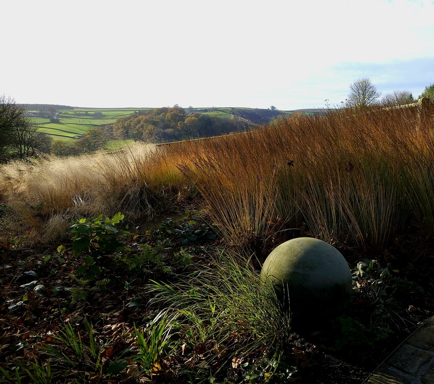 RHS Master of Horticulture