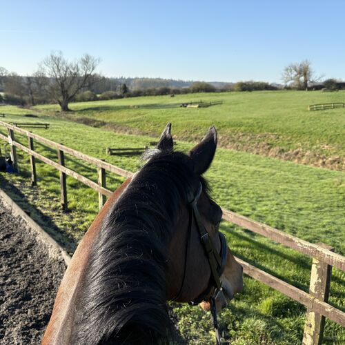 28 July -Tots & Beginners Morning - Lead Rein and off the Lead Rein Age 5+  £45.00