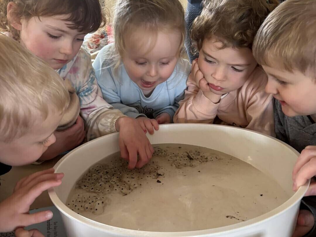 Woodland's Childcare Centre Ltd