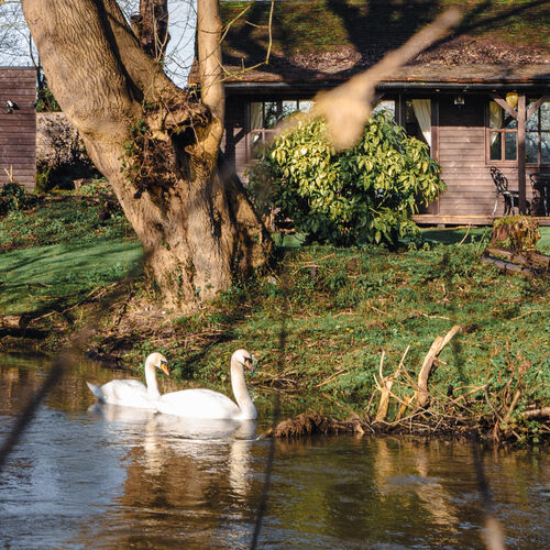 Little Tolpitts Lane, Watford WD18 9QG