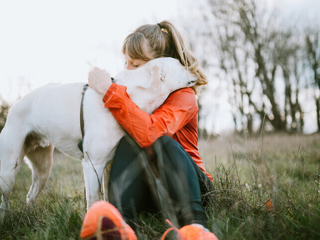 Our Values | Rainbow Bridge Pet Funeral Services