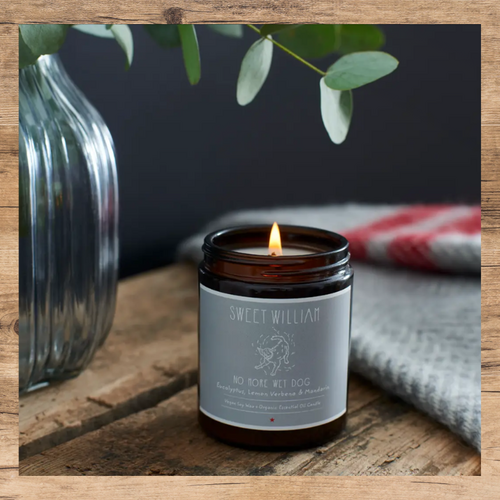 Sweet William Chrismas Candle