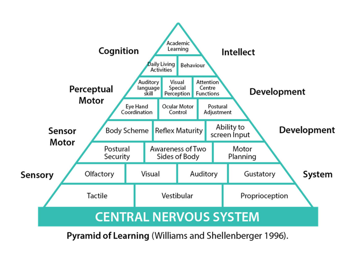 Sensory  | Unique Minds  | Mental Health Support For Adults With Autism Online | Managing Autism Needs And University Online Online | Support Solving Everyday Problems For Autistic Adults In Workplace 