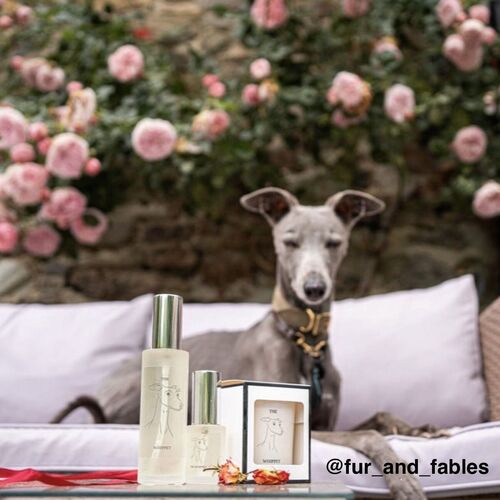 The Whippet Room/Upholstery Spray