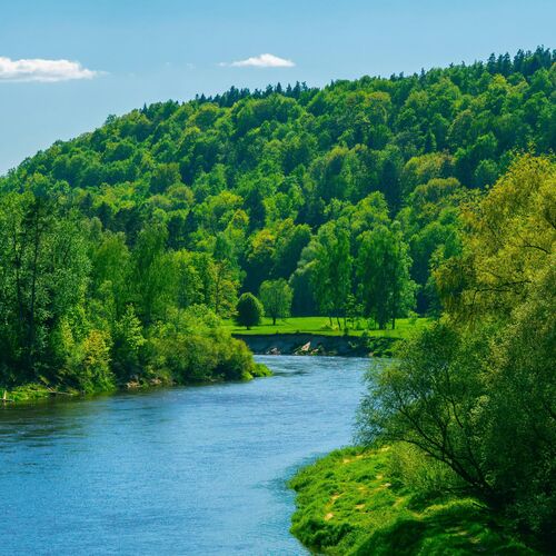 Chalet 2, Little Tolpitts Cottages