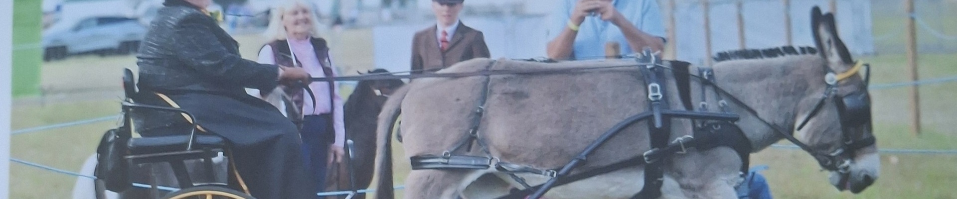 Carriage Fittings | Take The Reins | Zilco Harness &amp; accessories | Carriage driving products | Shetland Pony driving products