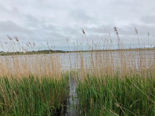 FULL - Isle of Anglesey, Wales 2026 - FULL