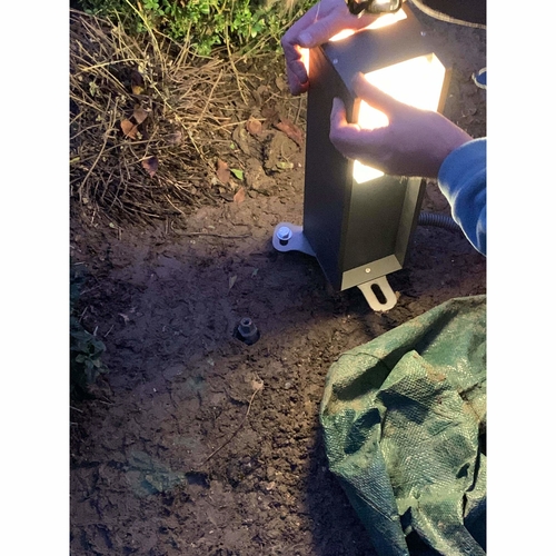 Exterior Lighting