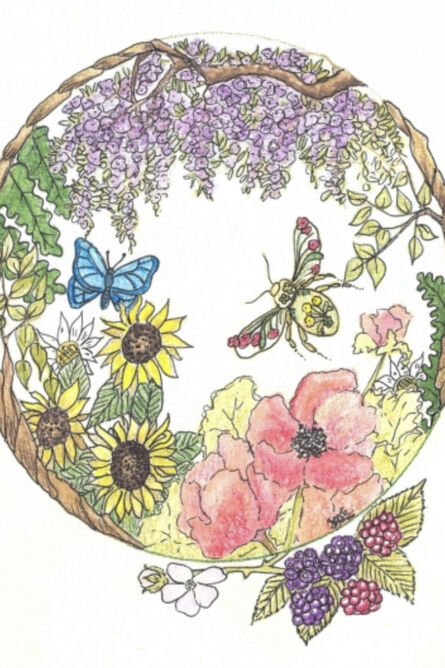 Auragraph with Reading