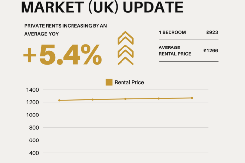 November 2024 UK Property Rental Market Report: How can tenants and landlords navigate the rising rental prices?