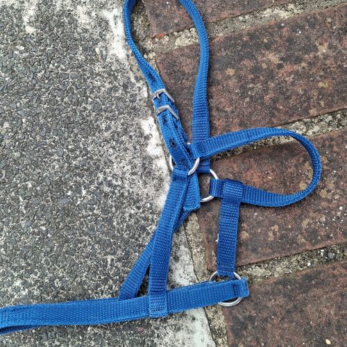 Sml Pony Underhalter *Special*