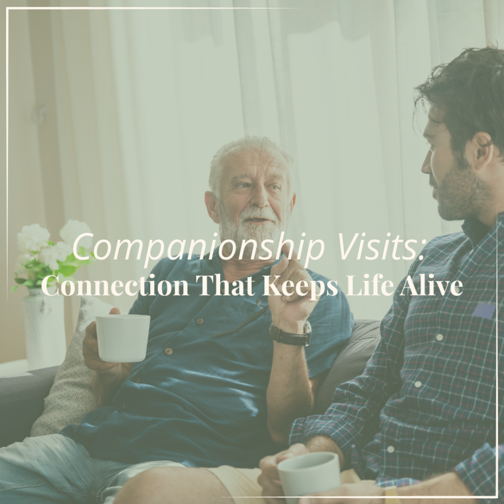 Companionship Visits: Connection That Keeps Life Alive