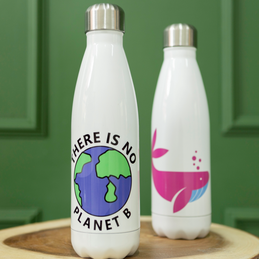 Eco-friendly water bottles with 'There Is No Planet B' and whale artwork, displayed on wood with green background.