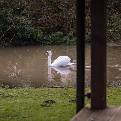 Little Tolpitts Lane, Watford WD18 9QG