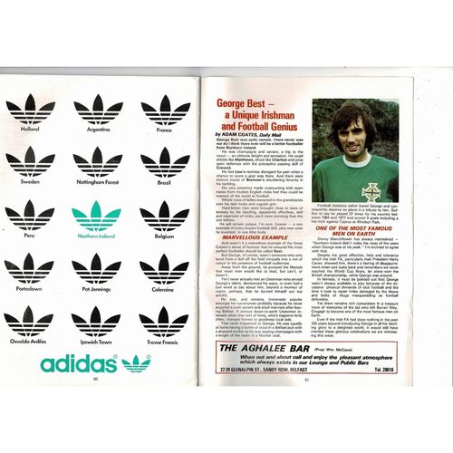 1980 Northern Ireland v Sweden Football Programme