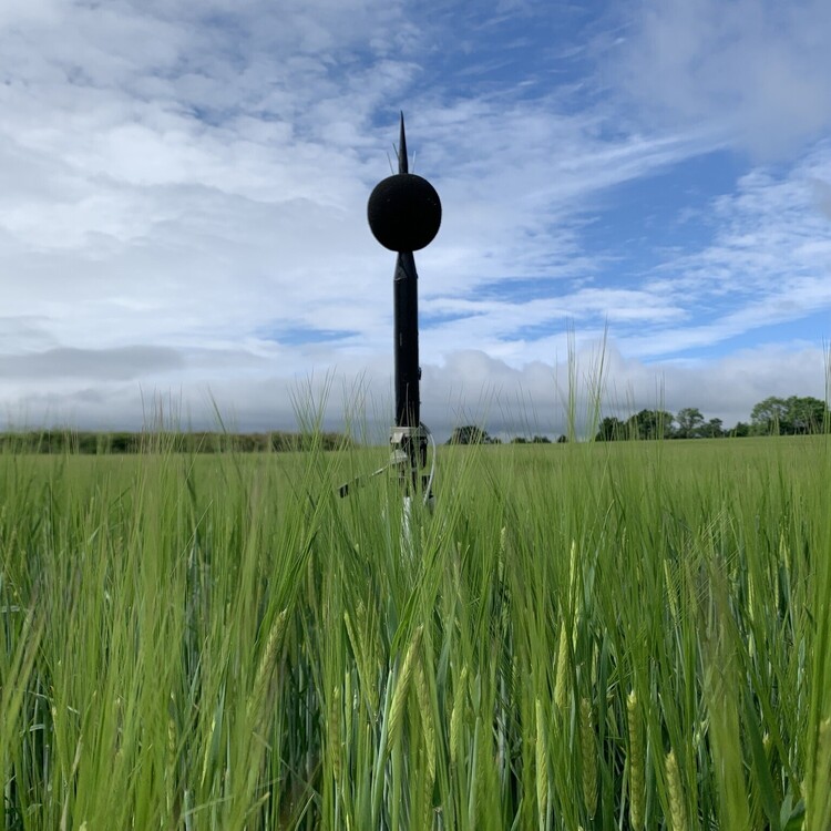 Noise & Vibration Surveys