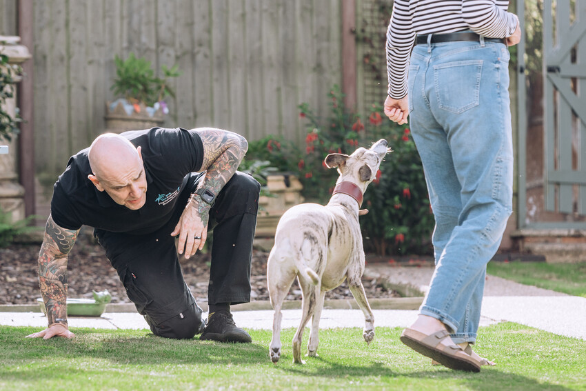 Dog having physiotherapy