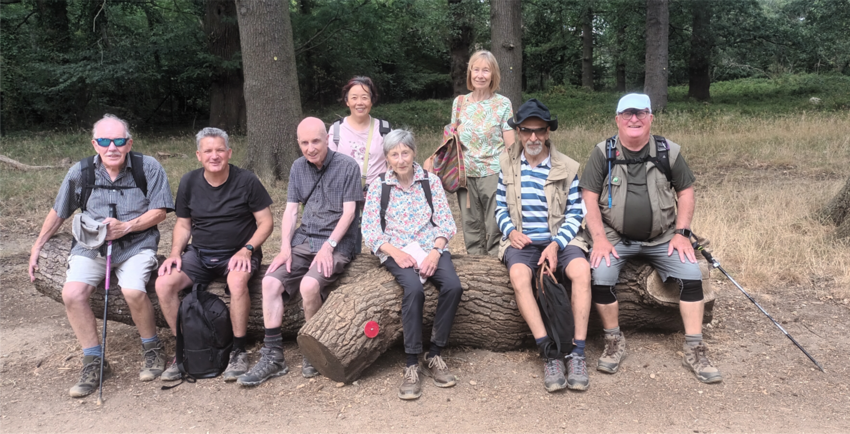 Richmond to Barnes, Sunday 2nd August | Croydon HF Rambling Club | Walking Clubs in Croydon  | Rambling Croydon | HF Rambling, Croydon