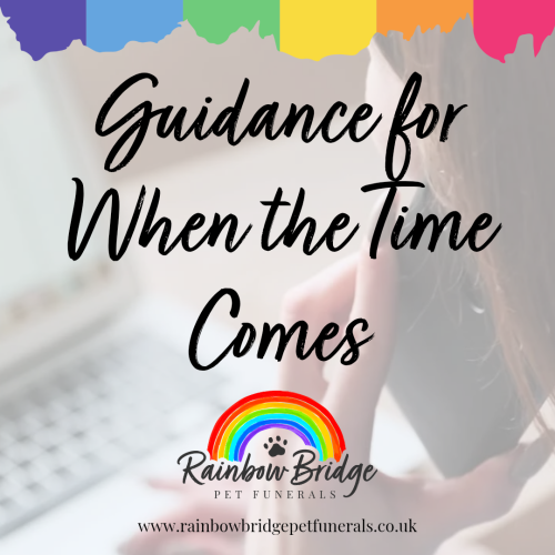 What Happens After Your Pet Passes Away