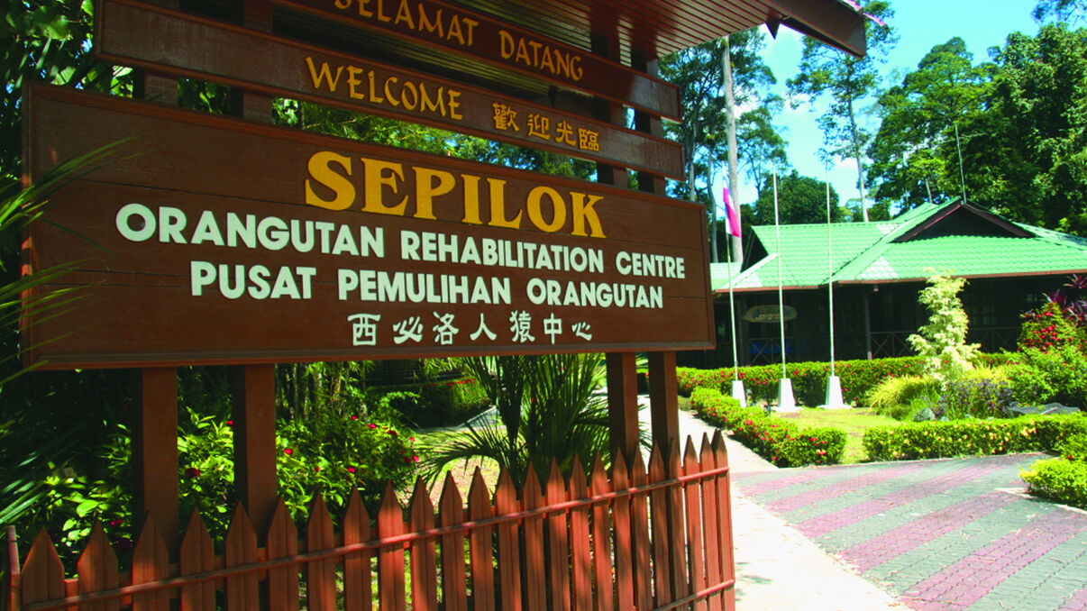 Sepilok Orangutan Sanctuary