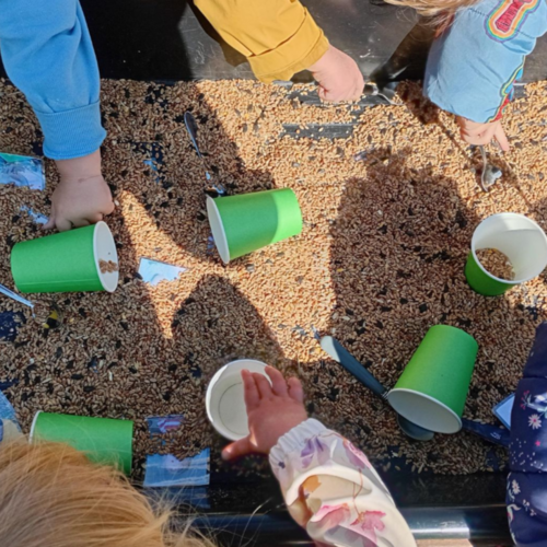Gallery  | Little Pals Nursery