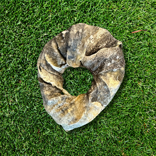 Fish Skin Ring