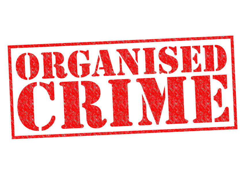 Timeshare Maintenance Fee / Debt Collector Scam.