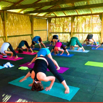 Dalyan Turkey | Harmonyoga | Yoga Classes in Surrey | Yoga Teacher Training Esher Surrey | Online Yoga for Flexibility and Wellbeing
