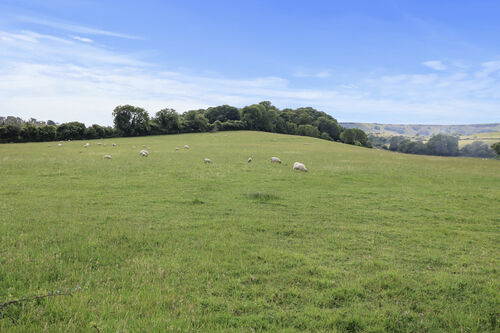 Cornmill Gardens, Polegate