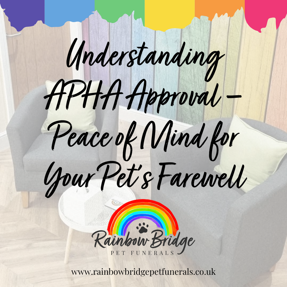 Peace of Mind for Your Pet’s Farewell | Rainbow Bridge Pet Funeral Services