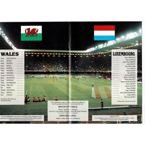1991 Wales v Luxembourg European Championship Football Programme