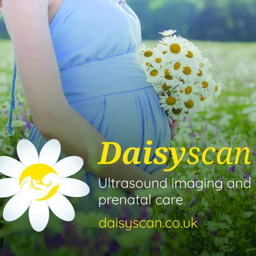 Early Reassurance Scans: Why Many Parents Choose Them | Daisyscan | Baby Scan Cambridge | Pregnancy Scan Cambridge | Early Scan Cambridge