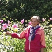 A night at a country dacha