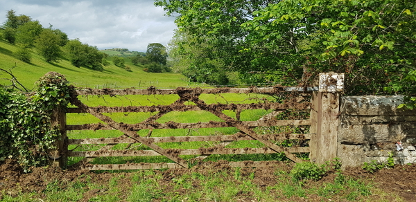 Using data to get us out of lockdown