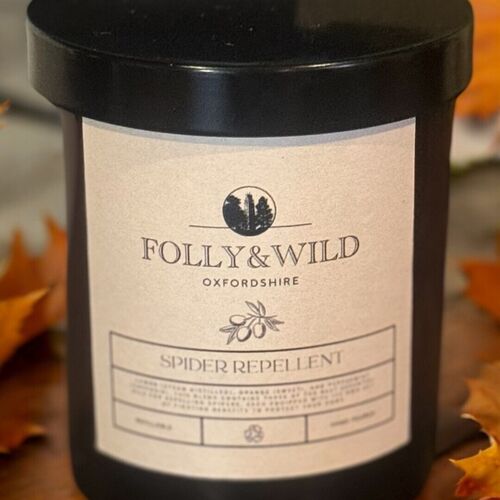 Spider Repellent Candle – Essential Oil Candle