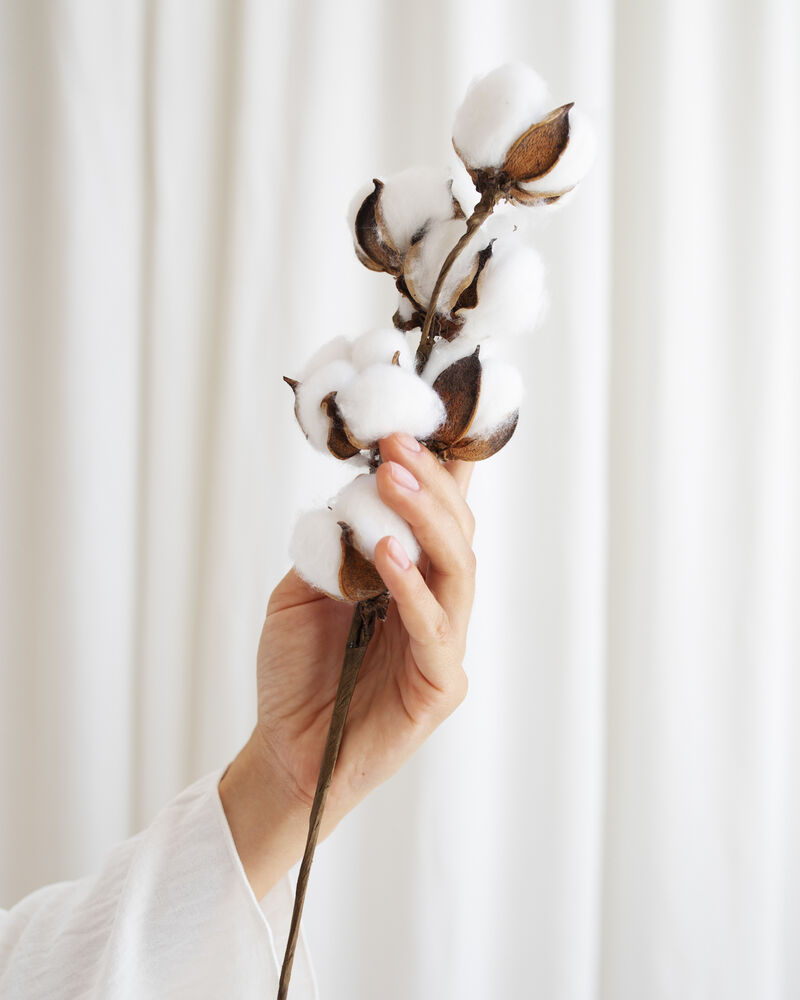 Fast Fashion in Schools: Why It’s Time to Rethink Synthetic Uniforms