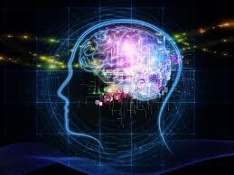 Sensory systems | Unique Minds