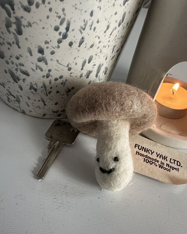 Mushroom keyrings