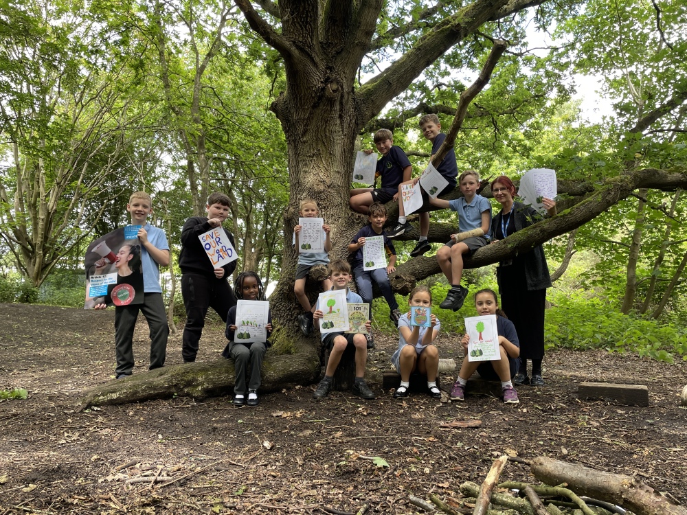 Portal Woodlands Sale | Martlesham Parish Council | Martlesham parish council planning | Martlesham parish council meeting | Martlesham parish council finance