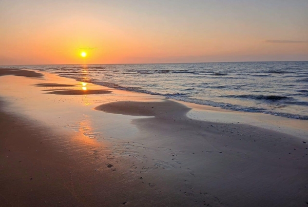 Highlights of St Aidan's Way - the Way of the Bee