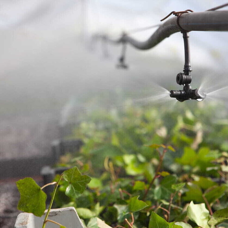 Eureka Growing Systems Ltd | Commercial greenhouse builder England | Greenhouse shade screen installers Scotland | Commercial greenhouse repairs Wales | Commercial greenhouses UK  | Commercial greenhouses repairs UK | Commercial greenhouse shade and energy screens UK