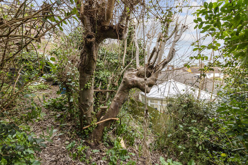 Wish Hill, Eastbourne