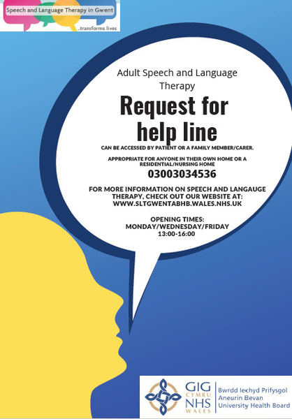 Adult Speech and Language Therapy