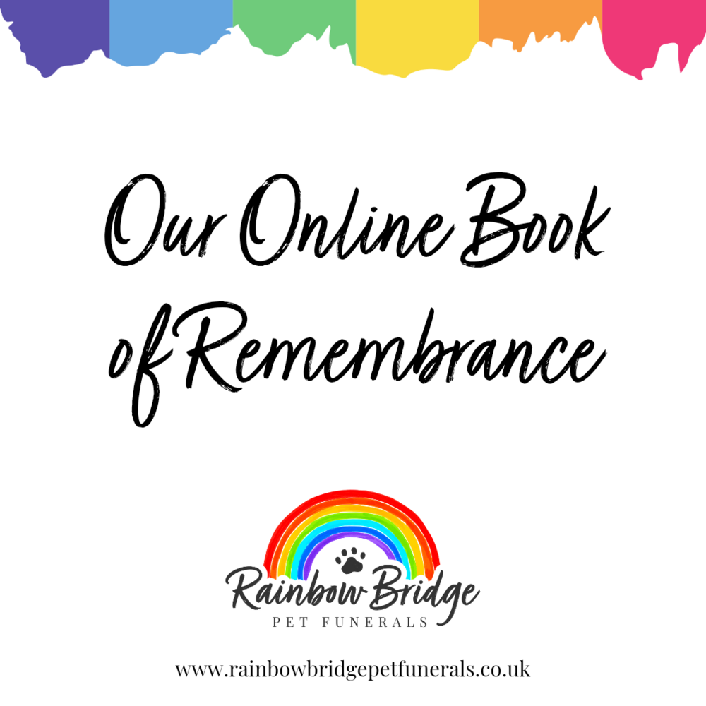Our Online Book of Remembrance | Rainbow Bridge Pet Funeral Services