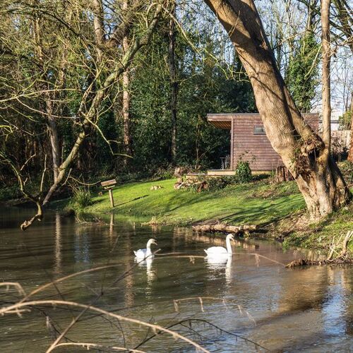 Chalet 2, Little Tolpitts Cottages
