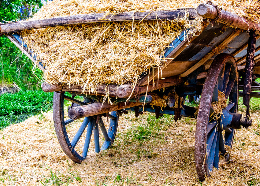 Timeshare Fraud: A Legacy of Deception and Institutional Failure