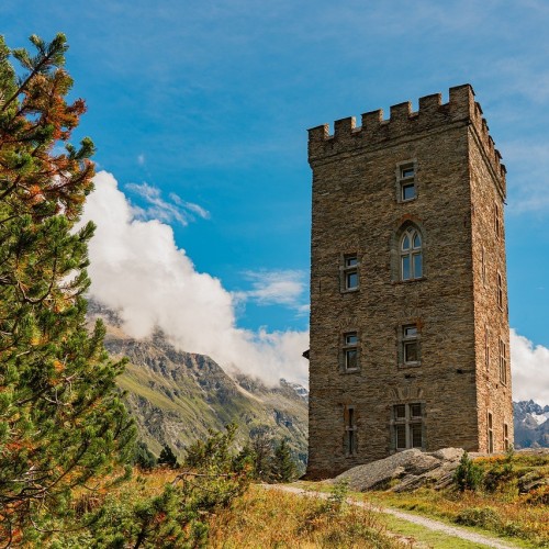 What is the importance of surveying for heritage building conservation?